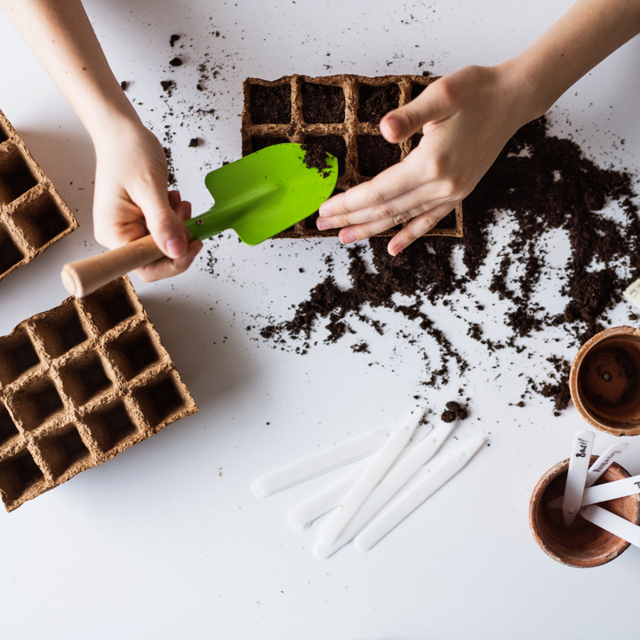 Why gardening is the new pilates | Gardening for fitness, mental health, and peace of mind.