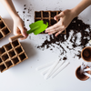 Why gardening is the new pilates | Gardening for fitness, mental health, and peace of mind.