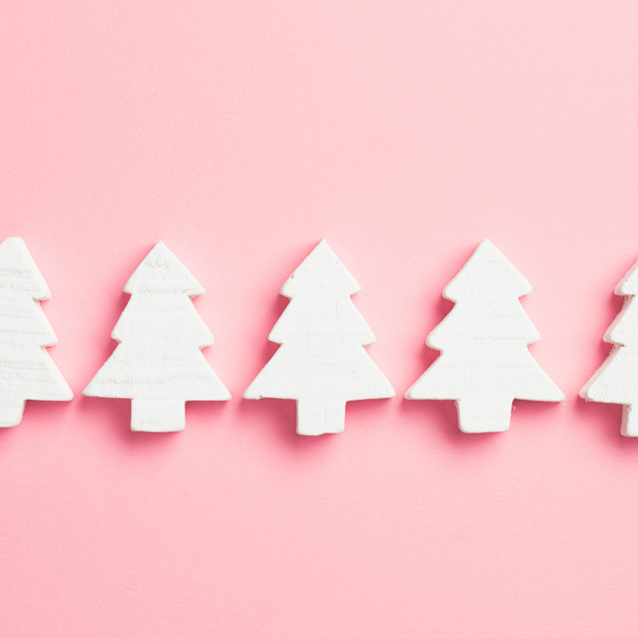 Celebrating Sustainably | Sustainable Tips to  Take with You Into The Holidays