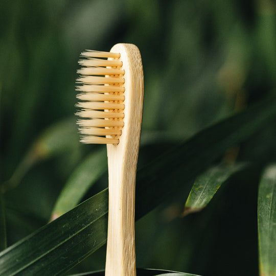 A bamboo toothbrush standing upright against green leafy background